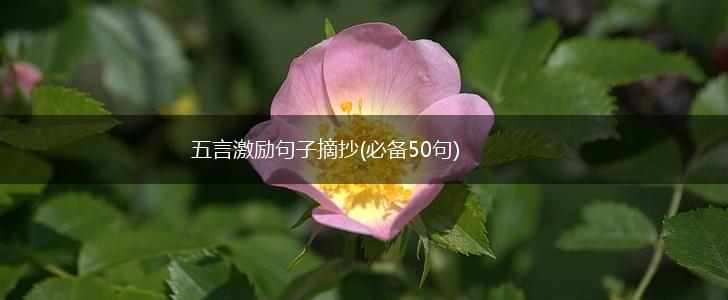 五言激励句子摘抄(必备50句),第1张