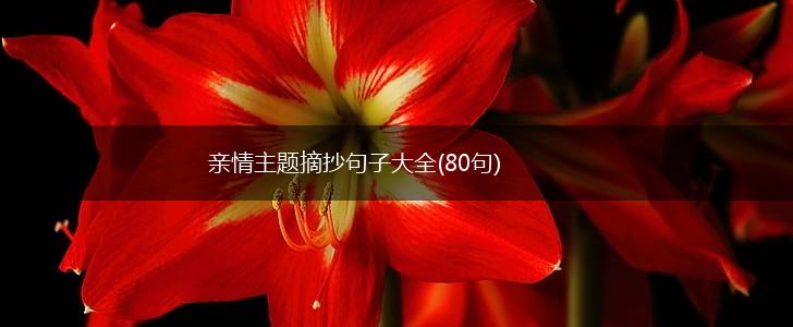 亲情主题摘抄句子大全(80句),第1张