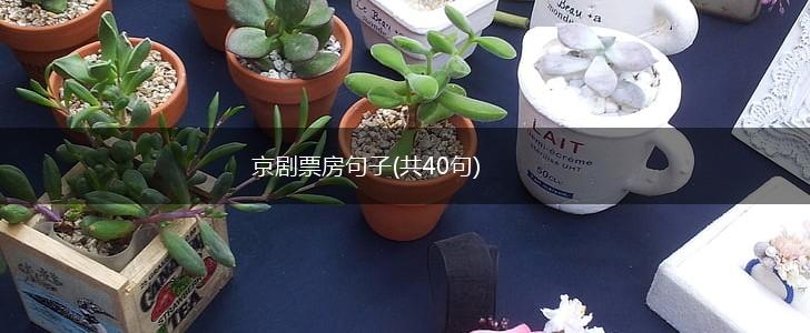 京剧票房句子(共40句),第1张