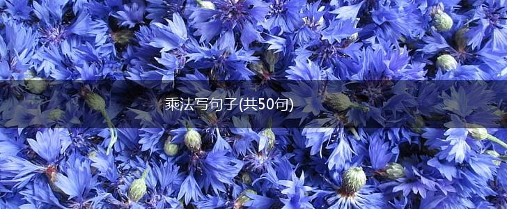 乘法写句子(共50句),第1张