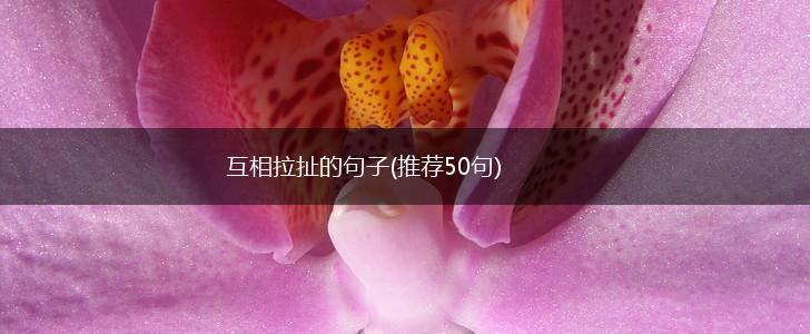 互相拉扯的句子(推荐50句),第1张