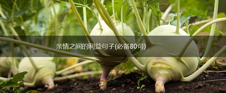 亲情之间的利益句子(必备80句),第1张