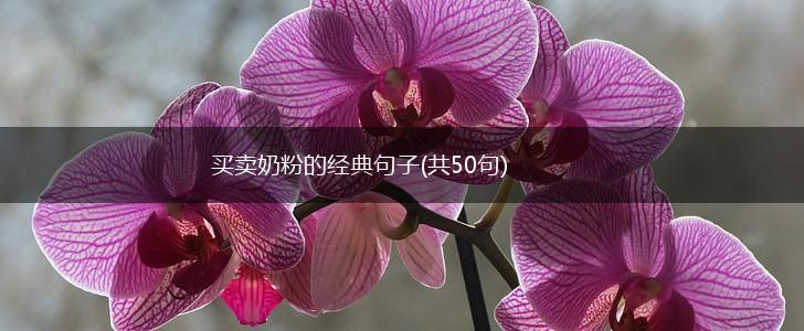 买卖奶粉的经典句子(共50句),第1张
