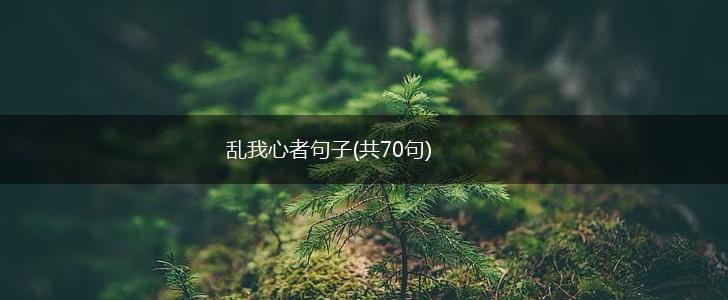 乱我心者句子(共70句),第1张