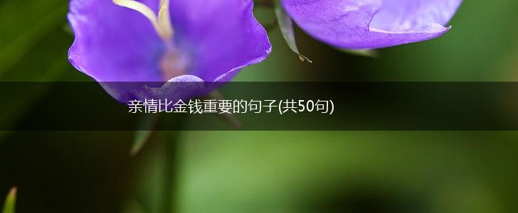 亲情比金钱重要的句子(共50句),第1张
