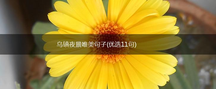 乌镇夜景唯美句子(优选11句),第1张