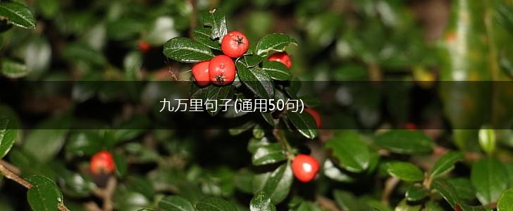 九万里句子(通用50句),第1张