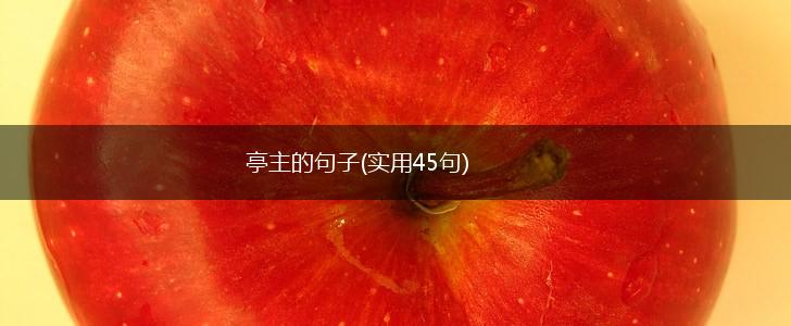 亭主的句子(实用45句),第1张