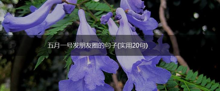 五月一号发朋友圈的句子(实用20句),第1张