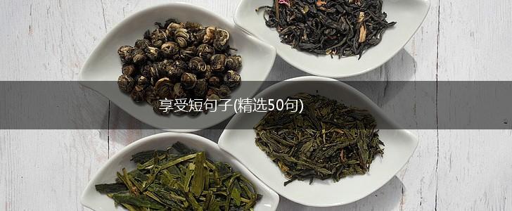 享受短句子(精选50句),第1张