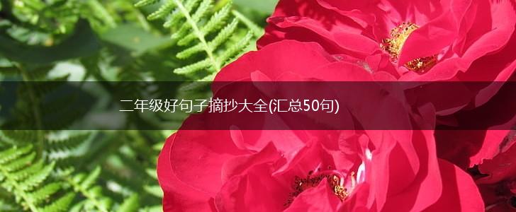 二年级好句子摘抄大全(汇总50句),第1张
