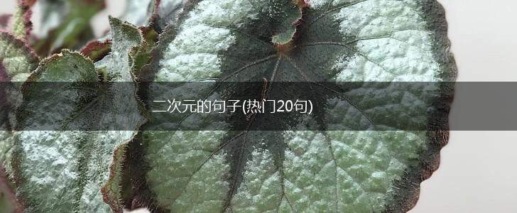 二次元的句子(热门20句),第1张
