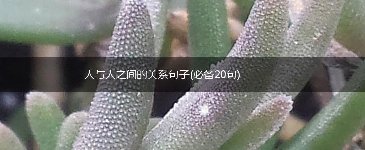 人与人之间的关系句子(必备20句),第1张