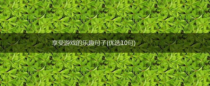 享受游戏的乐趣句子(优选10句),第1张