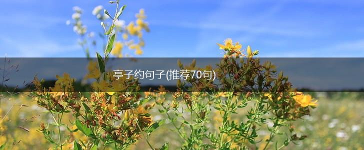 亭子约句子(推荐70句),第1张
