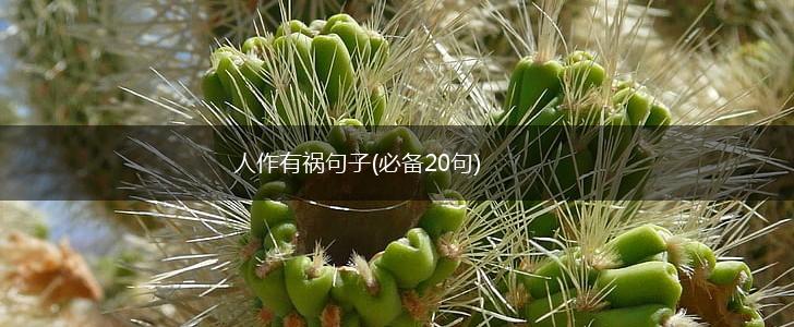 人作有祸句子(必备20句),第1张