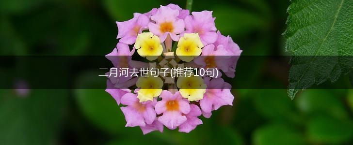 二月河去世句子(推荐10句),第1张