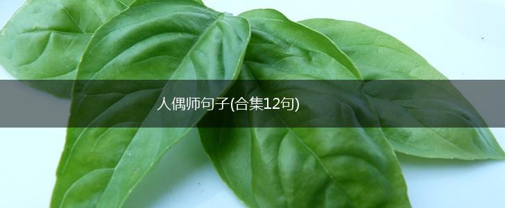 人偶师句子(合集12句),第1张