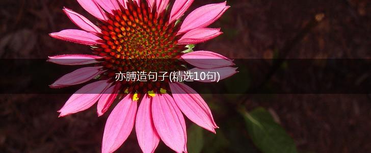 亦膊造句子(精选10句),第1张