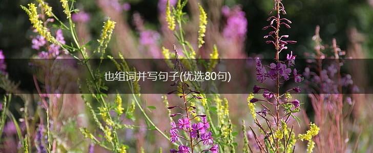 也组词并写句子(优选80句),第1张