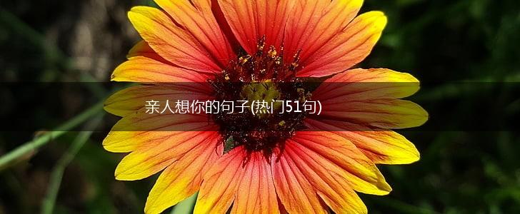 亲人想你的句子(热门51句),第1张