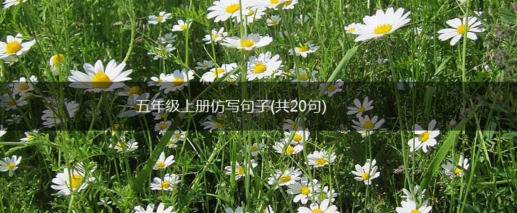 五年级上册仿写句子(共20句),第1张