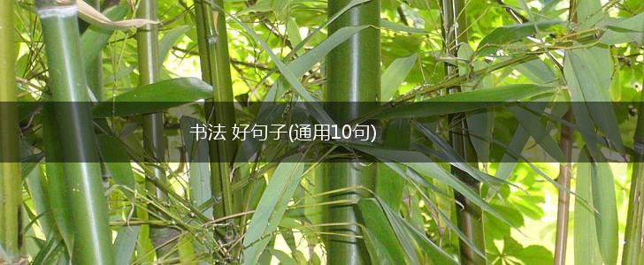 书法 好句子(通用10句),第1张