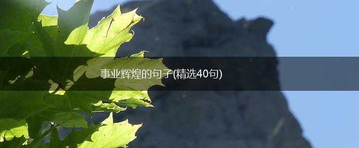 事业辉煌的句子(精选40句),第1张
