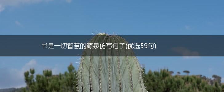 书是一切智慧的源泉仿写句子(优选59句),第1张