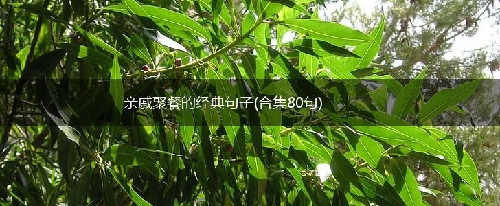 亲戚聚餐的经典句子(合集80句),第1张