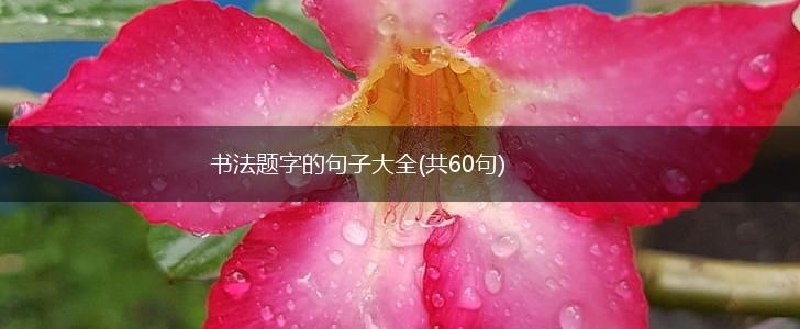 书法题字的句子大全(共60句),第1张