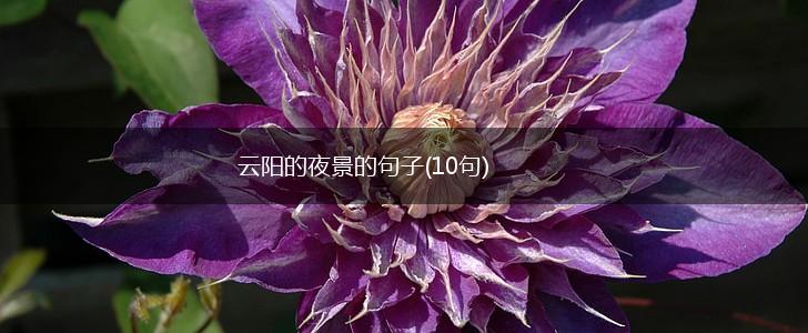 云阳的夜景的句子(10句),第1张