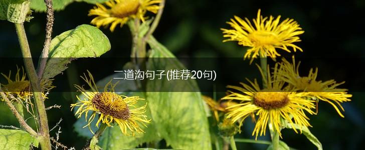 二道沟句子(推荐20句),第1张