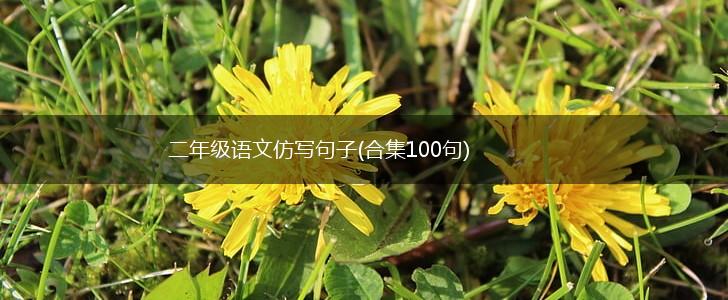 二年级语文仿写句子(合集100句),第1张