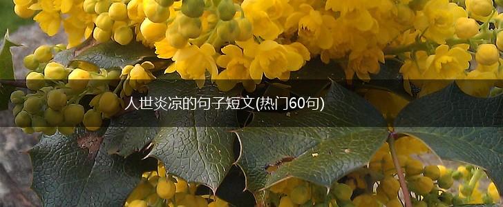 人世炎凉的句子短文(热门60句),第1张