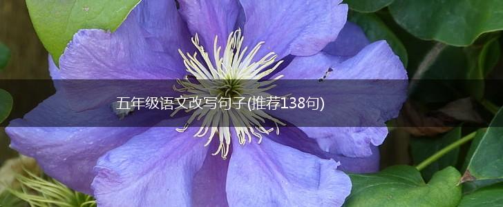 五年级语文改写句子(推荐138句),第1张