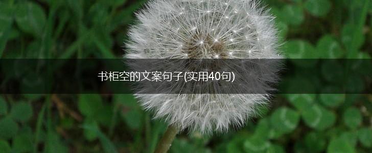 书柜空的文案句子(实用40句),第1张