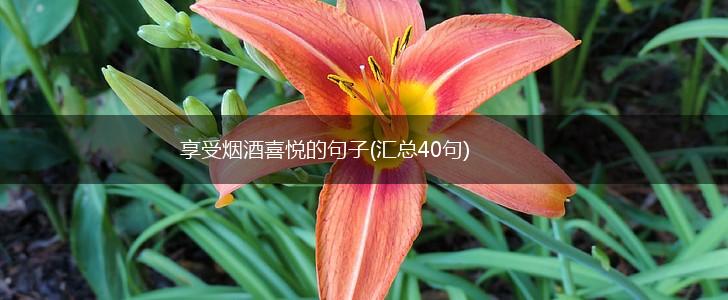 享受烟酒喜悦的句子(汇总40句),第1张