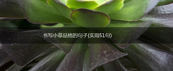 书写小草品格的句子(实用51句),第1张