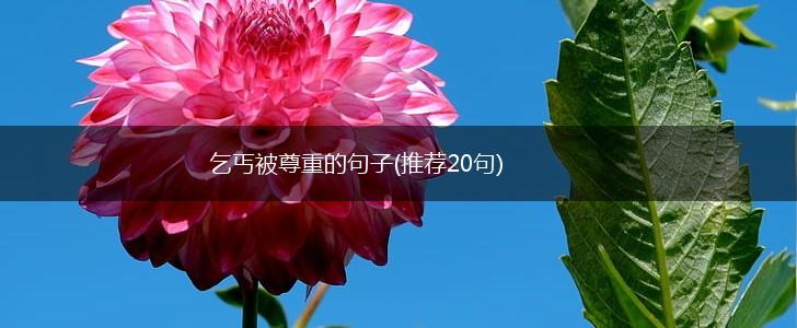乞丐被尊重的句子(推荐20句),第1张