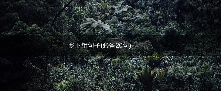 乡下组句子(必备20句),第1张