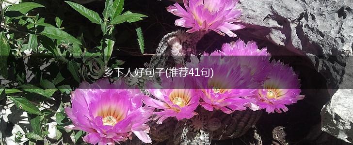 乡下人好句子(推荐41句),第1张