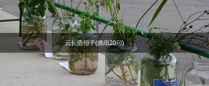 云长造句子(通用20句),第1张