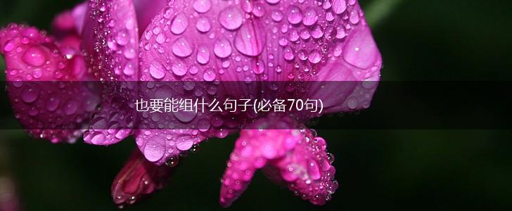 也要能组什么句子(必备70句),第1张
