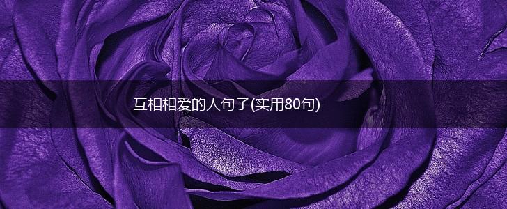 互相相爱的人句子(实用80句),第1张