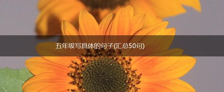 五年级写具体的句子(汇总50句),第1张