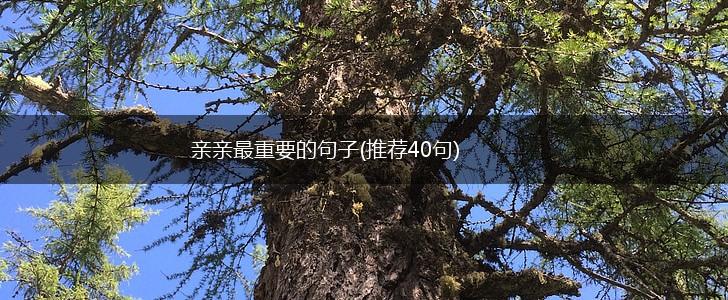 亲亲最重要的句子(推荐40句),第1张