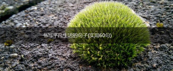 书写平凡生活的句子(实用60句),第1张
