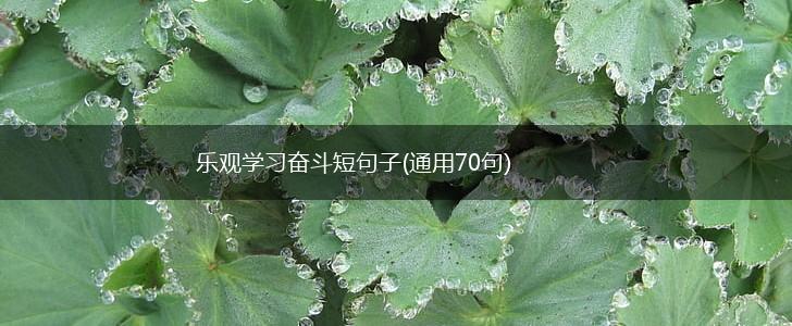 乐观学习奋斗短句子(通用70句),第1张