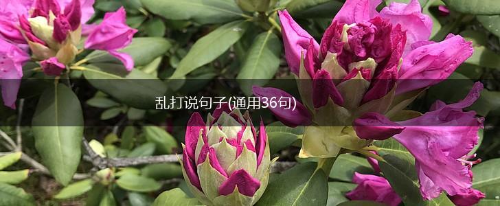 乱打说句子(通用36句),第1张